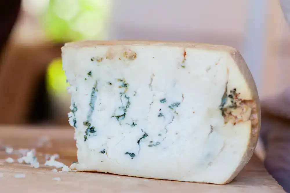 Fresh wedge of creamy artisan cheese