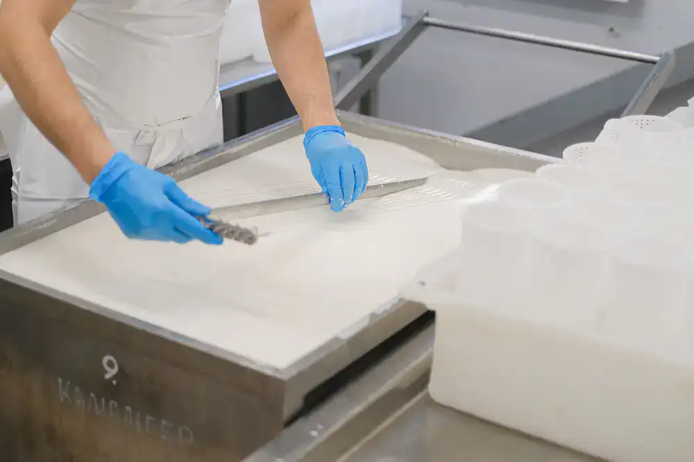 Students working at a wooden table preparing cheese curds