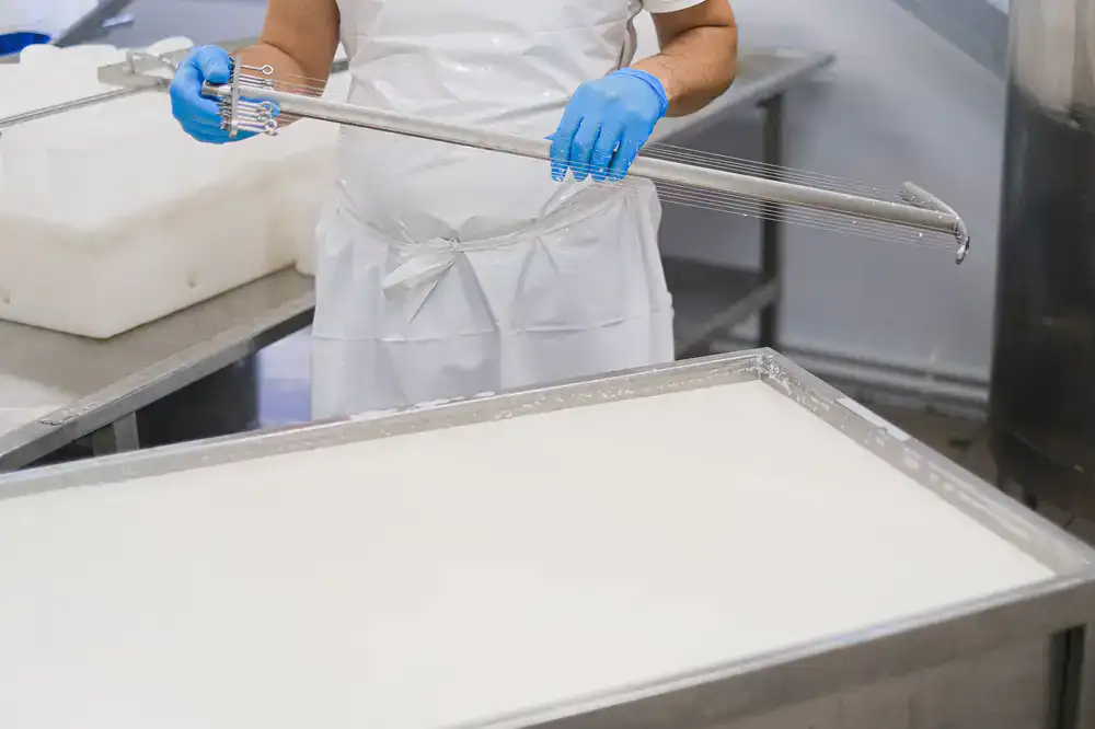Wooden presses and stainless steel cheese hoops